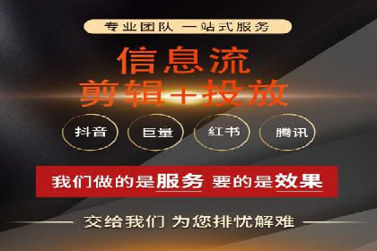 经典案例：专业SEM托管如何实现ROI最大化